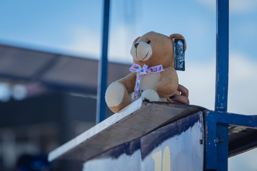 Speedy Bear 2